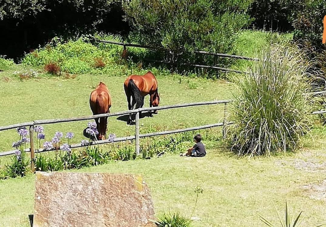 T1 Na Casa Da Quinta S Jose Villa Praia de Mira Buitenkant foto