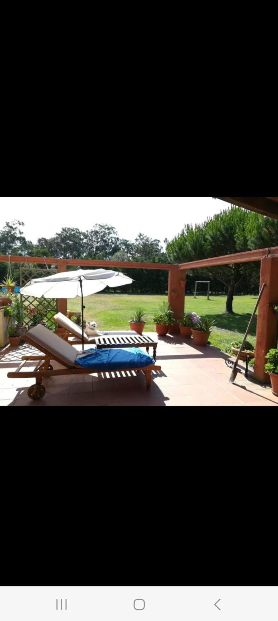 T1 Na Casa Da Quinta S Jose Villa Praia de Mira Buitenkant foto