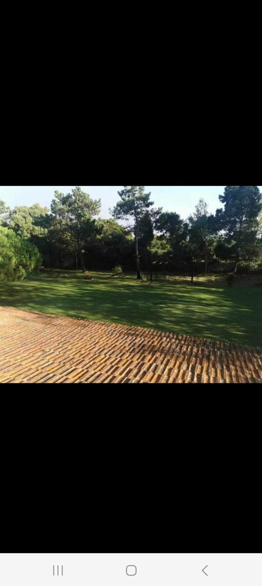 T1 Na Casa Da Quinta S Jose Villa Praia de Mira Buitenkant foto