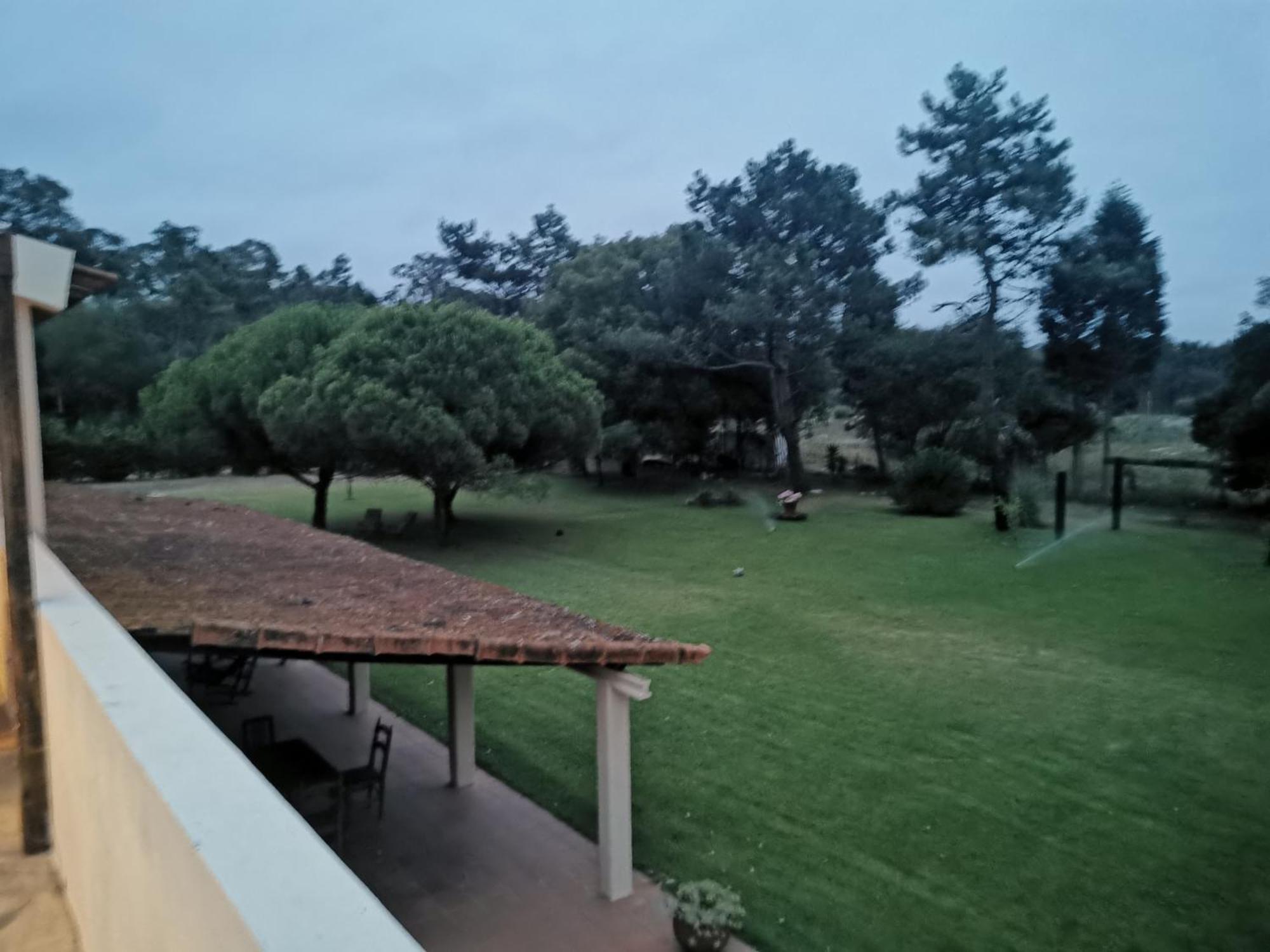 T1 Na Casa Da Quinta S Jose Villa Praia de Mira Buitenkant foto